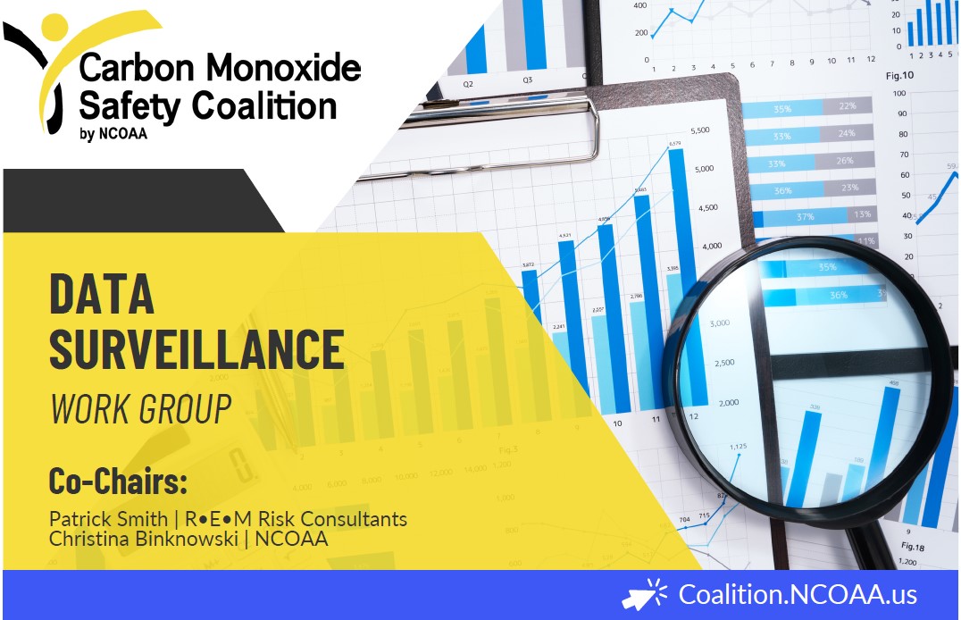 NCOAA Data Surveillance 1 - R·E·M Risk Consultants